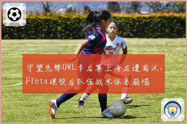 守望先锋OWL季后赛上海龙遭淘汰，Fleta退役后队伍战术体系崩塌